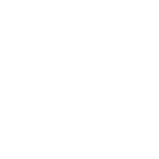 French Ligue 1