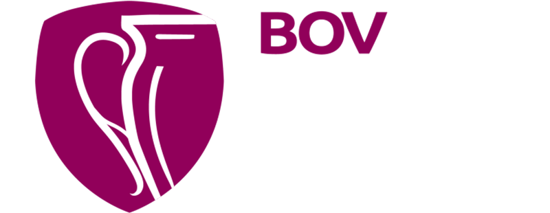 Maltese Premier League