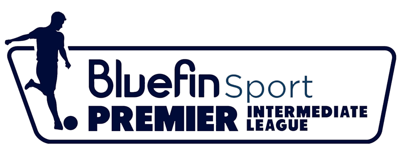 Northern Irish Premier Intermediate League