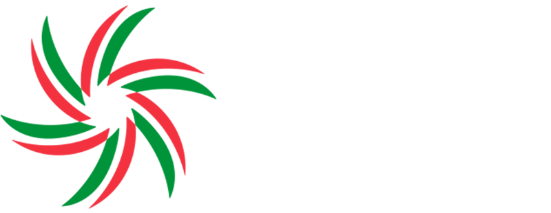 Mexican Liga de Expansión MX