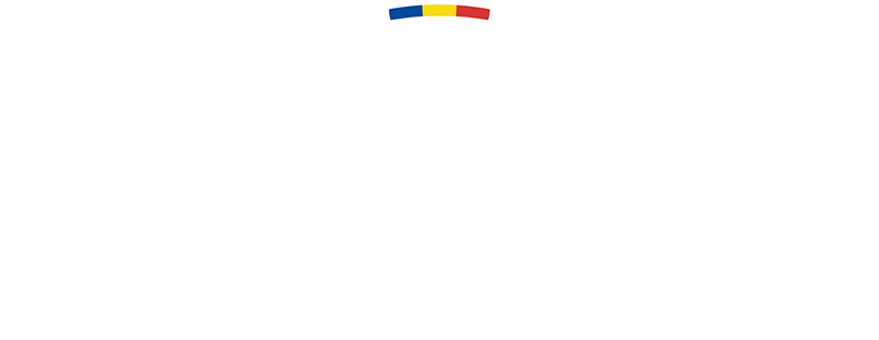 Romanian Liga I