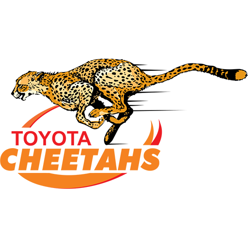 Cheetahs