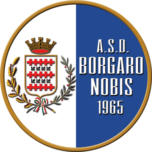 Borgaro