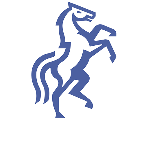 Politehnica Iași