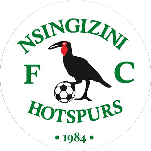 Nsingizini Hotspurs