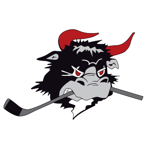 Rodovre Mighty Bulls