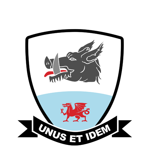 Baglan Dragons