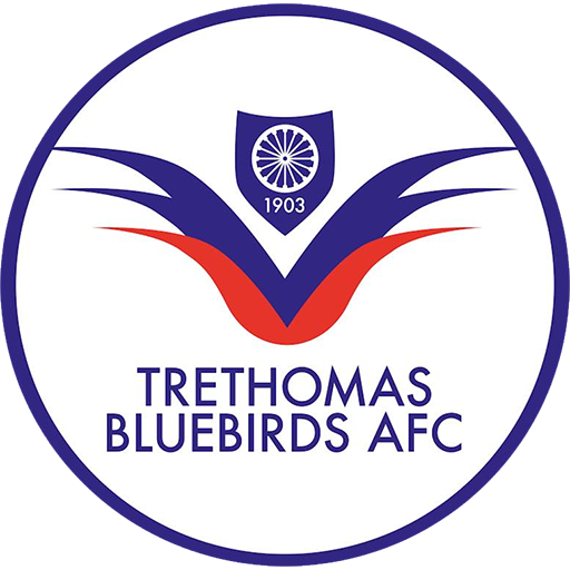 Trethomas Bluebirds