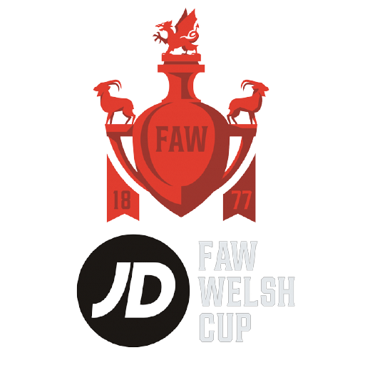 Welsh League Cup