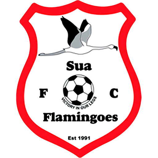 Sua Flamingoes