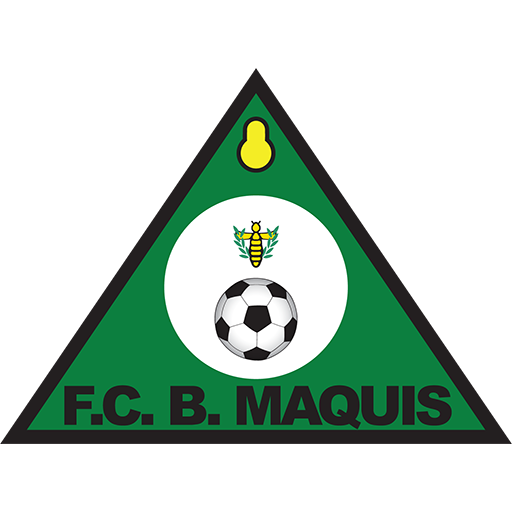 F.C. Bravos do Maquis