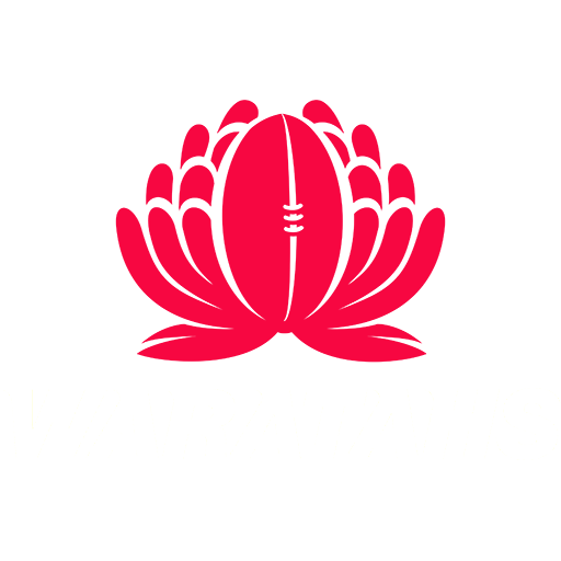 New South Wales Waratahs